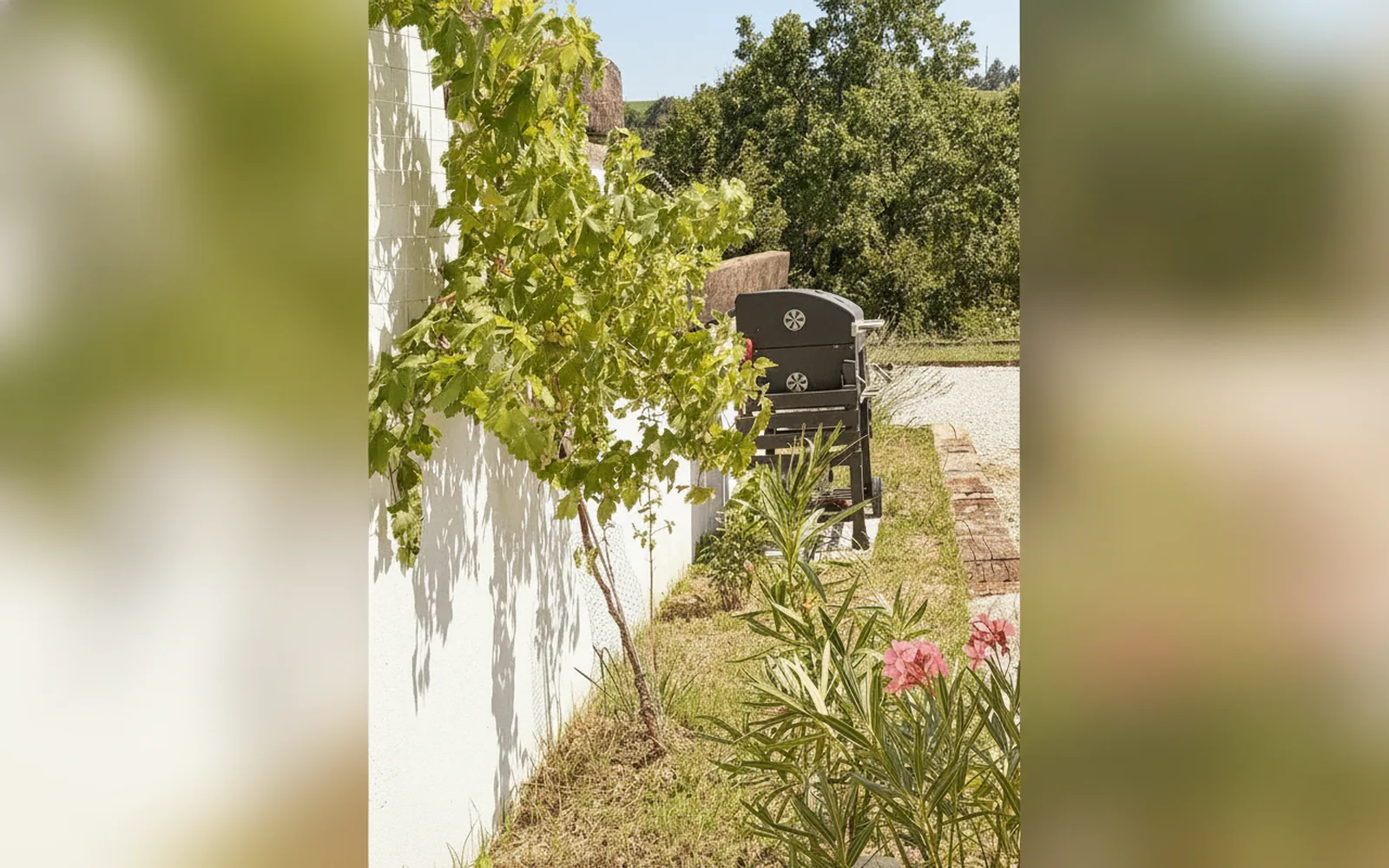 Riserva del Frignano, Pavullo nel Frignano (Emilia-Romagna) — galleria foto 19